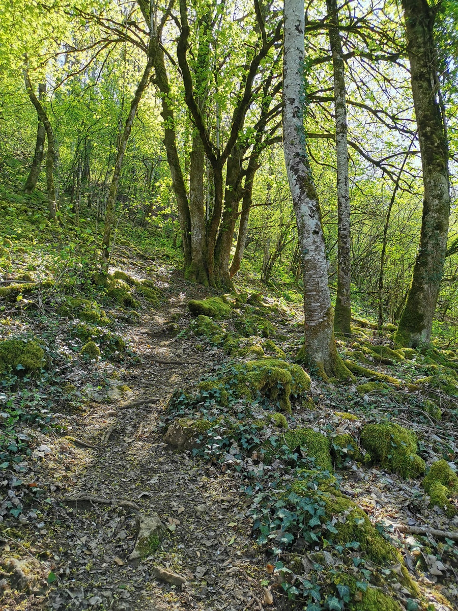 L'impact environnemental des objets en bois faits main
